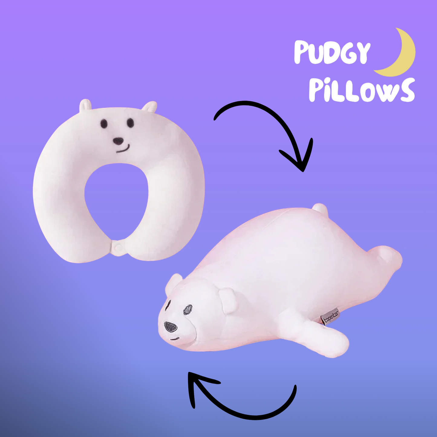 Polar Pudgie